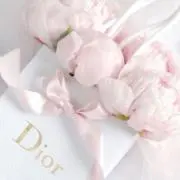 ゆまの画像