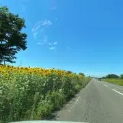 mk(★プロフ確認)の画像