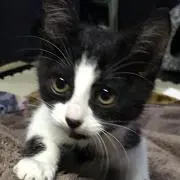 アラバマ