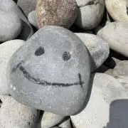 nnndの画像
