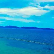 momo__❤︎の画像