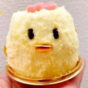 ヒナの画像
