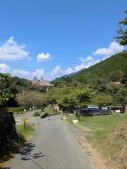 てんの画像