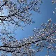 Namiの画像