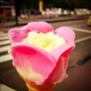 なごの画像