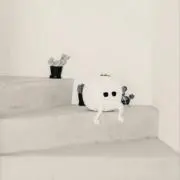 mugiの画像