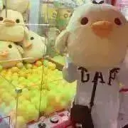 お急ぎの方はご購入をお控えm(._.)mの画像