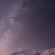 ゆずの画像
