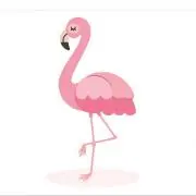 3838の画像