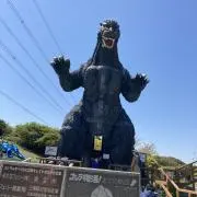 Tの画像