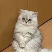漁火船の画像