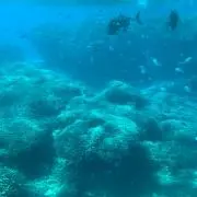 【ヒロ】思いっきり断捨離の画像