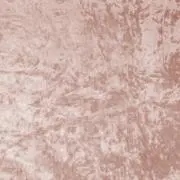 こまりの画像