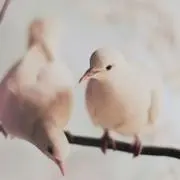 みー⭐︎