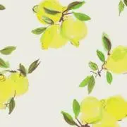 あまねの画像
