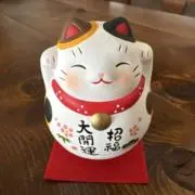 ピノの画像