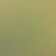はな