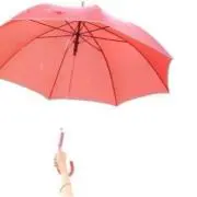 miyu**の画像