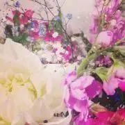 こはるの画像