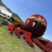 たつおの画像