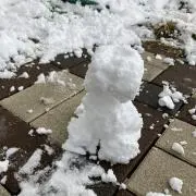 やざわの画像