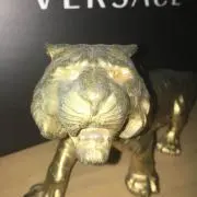 チャーコの画像