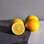 mo guの画像