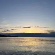 えのきの画像
