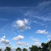 yoyo