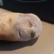 かに