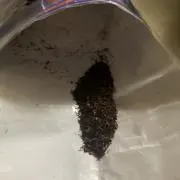 ロキソニン