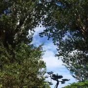 アドバンテージの画像