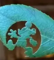 Aruu