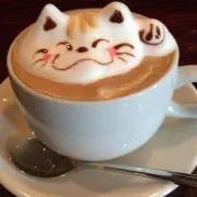 Yuji-wの画像