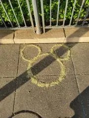 KoNの画像