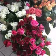 電子水生成器 AREE333 PUREピュア ブルー - メルカリ