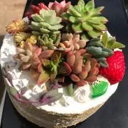☆いろはす☆の画像