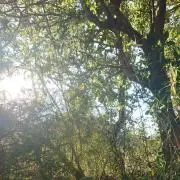 ブライアン
