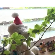えぬ( プロフ必読 )