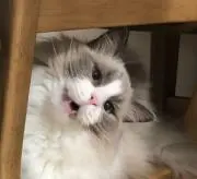 MMの画像
