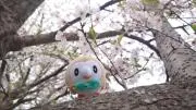 つきみの画像
