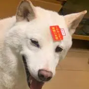 はる