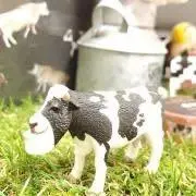 cowgirlの画像