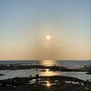 19の画像