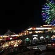 カリカリの画像