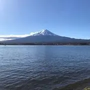 ココの画像