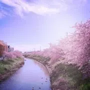 ともみ