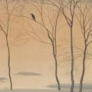 takuの画像