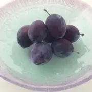 dotの画像