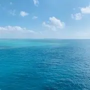 ypokの画像